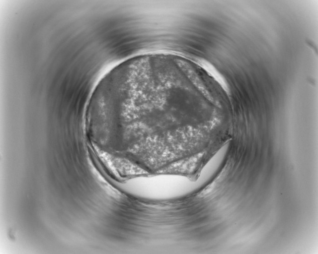 X0000093231388200710241227