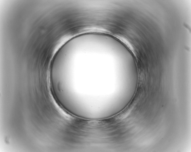 X0000093231391200710241227