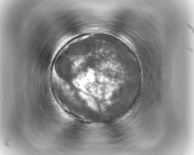 X0000093231392200710241227