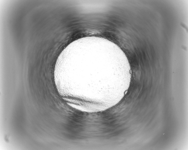 X0000093231393200710241227