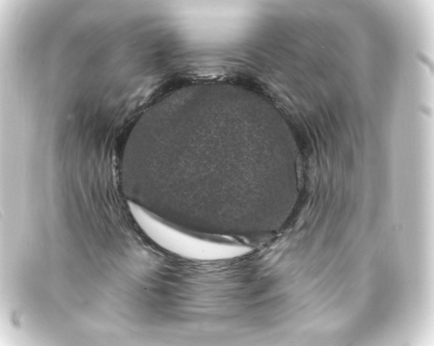 X0000093231394200710241227