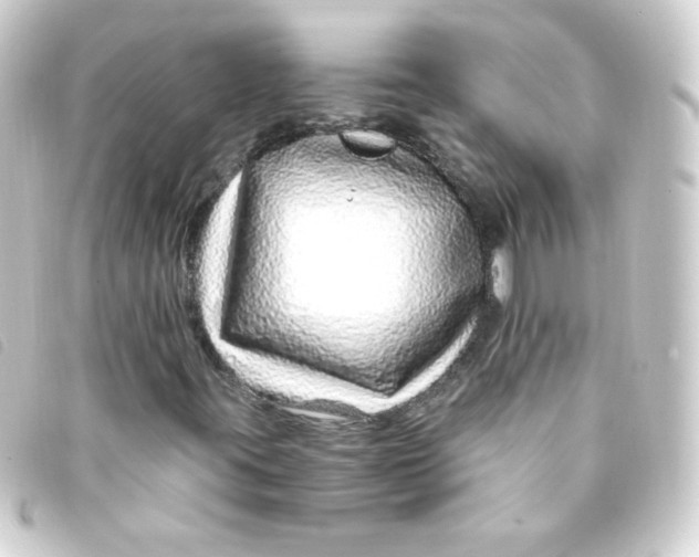 X0000093231395200710241227