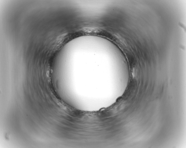 X0000093231396200710241227