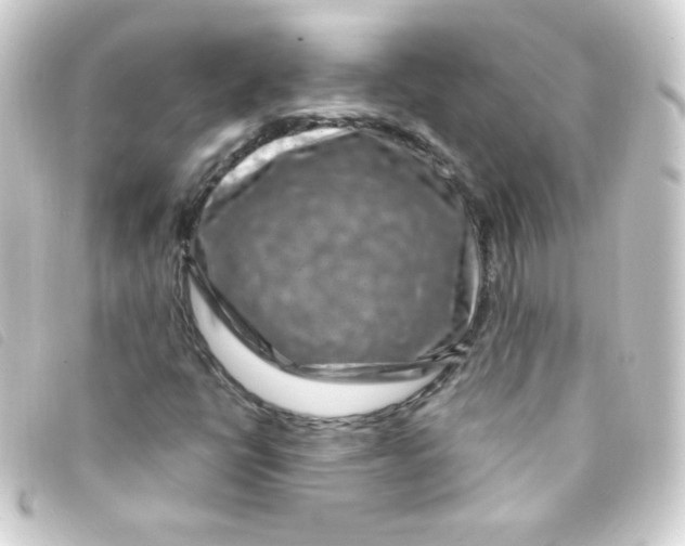 X0000093231398200710241227