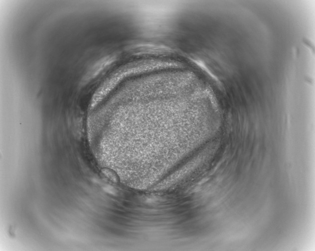 X0000093231399200710241227