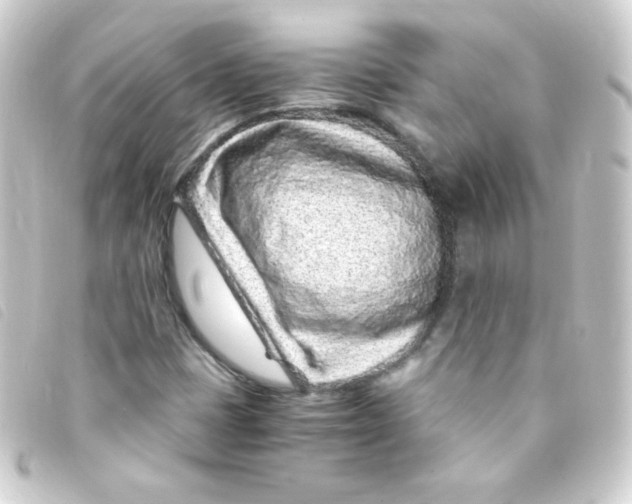 X0000093231401200710241227