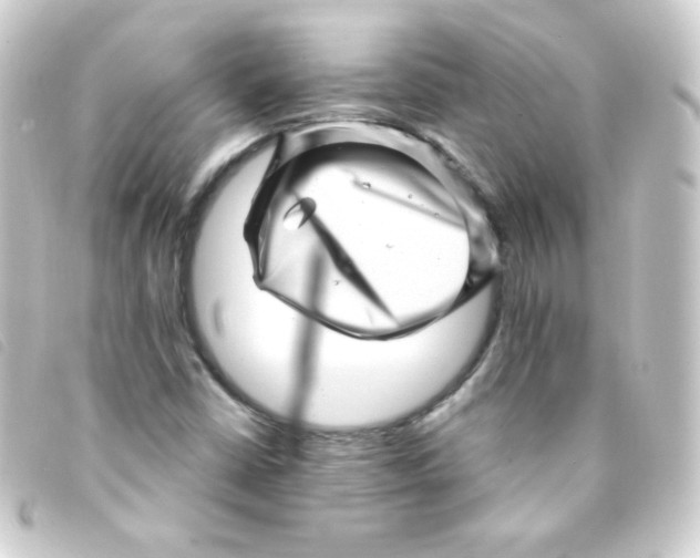 X0000093231402200710241227