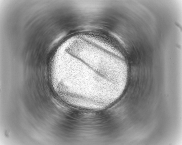 X0000093231403200710241227