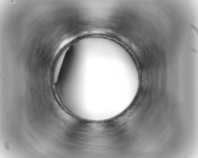 X0000093231404200710241227