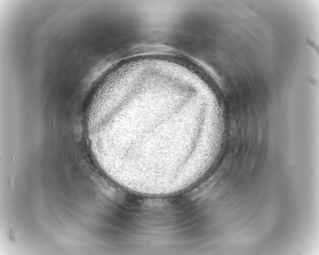 X0000093231407200710241227