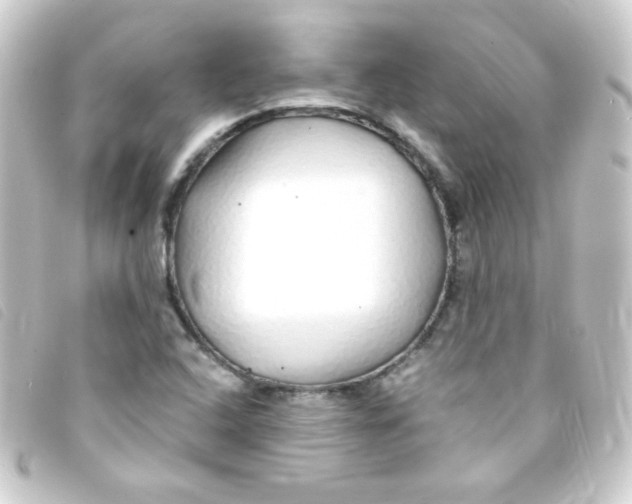 X0000093231408200710241227