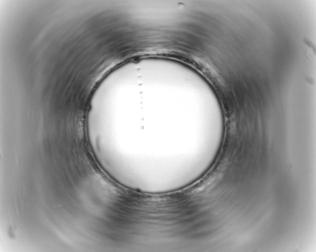 X0000093231409200710241227