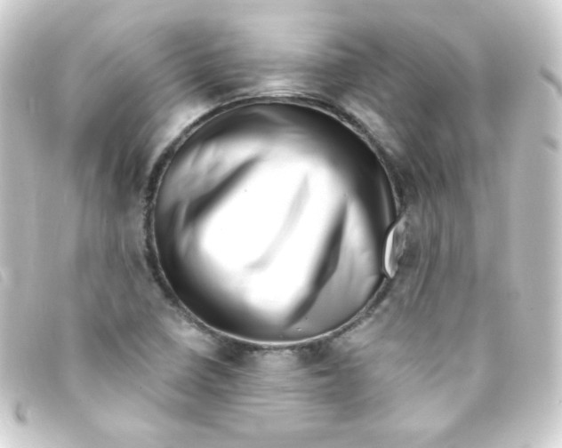 X0000093231410200710241227