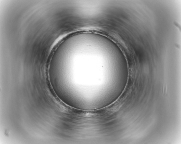 X0000093231412200710241227