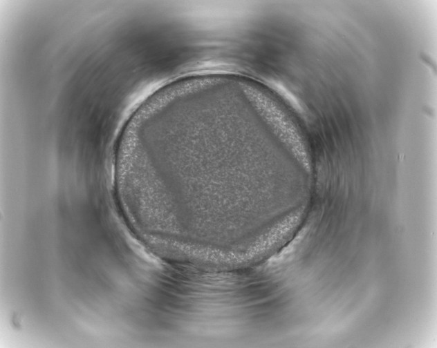 X0000093231413200710241227