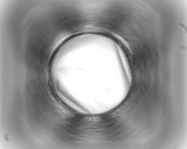 X0000093231415200710241227