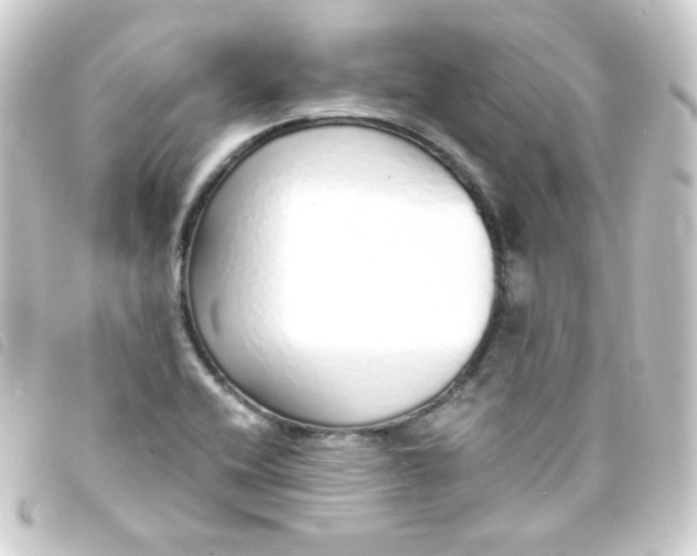 X0000093231416200710241227