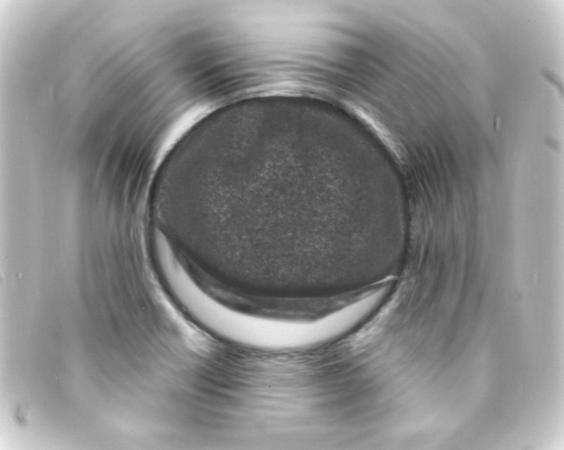 X0000093231418200710241227