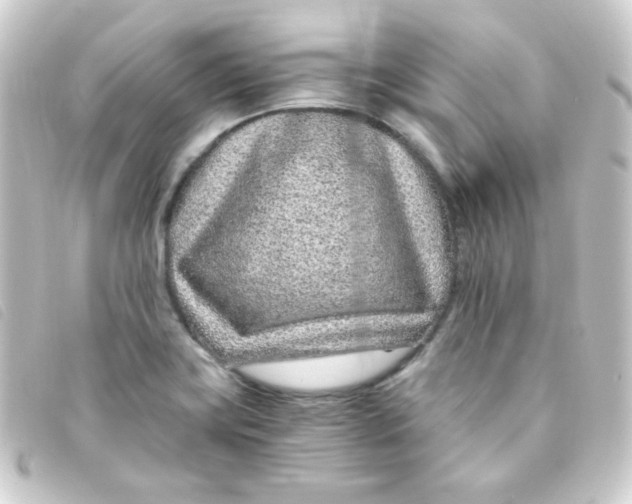 X0000093231419200710241227