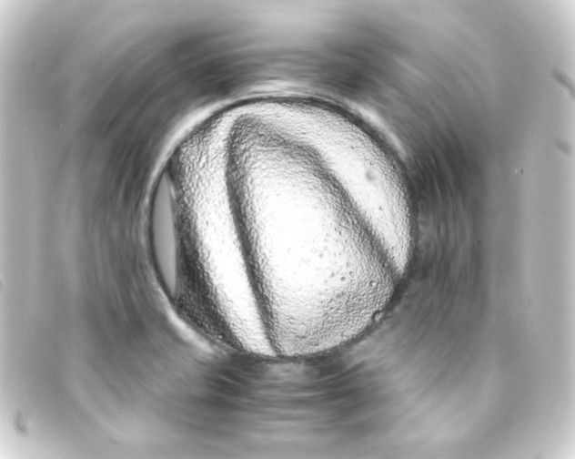 X0000093231421200710241227