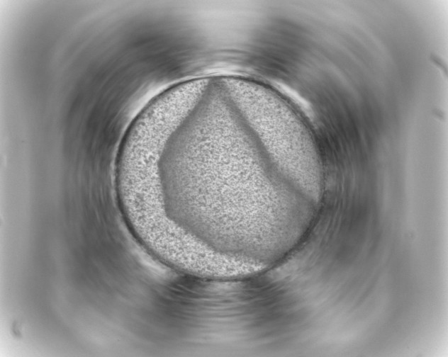 X0000093231423200710241227