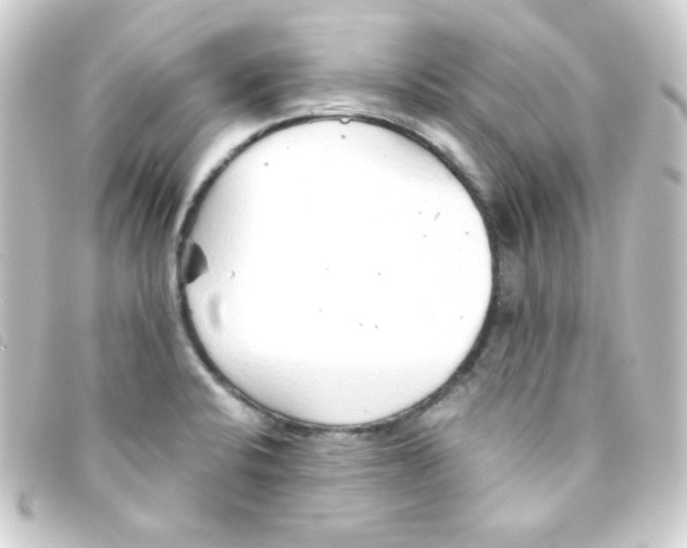 X0000093231424200710241227