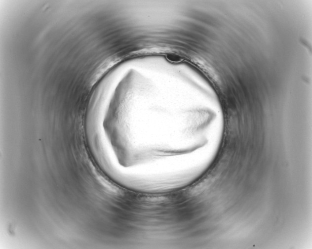 X0000093231425200710241227