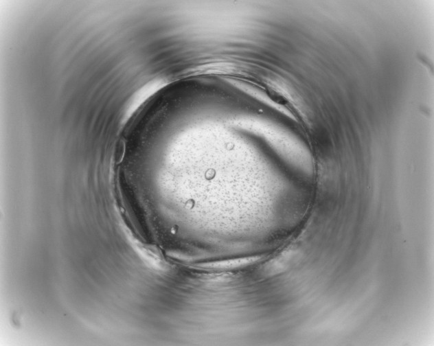 X0000093231426200710241227