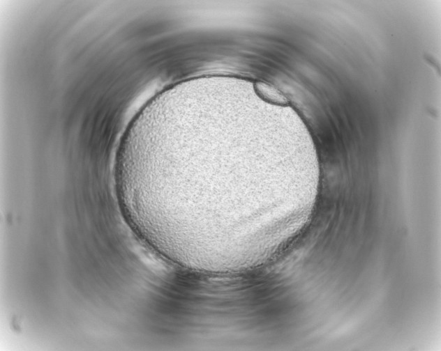 X0000093231427200710241227