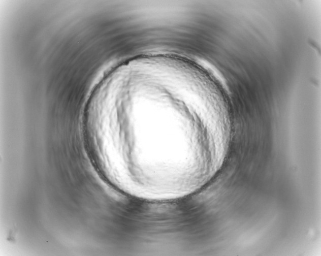 X0000093231429200710241227