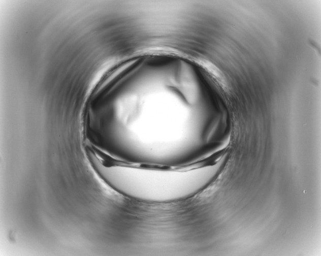 X0000093231430200710241227