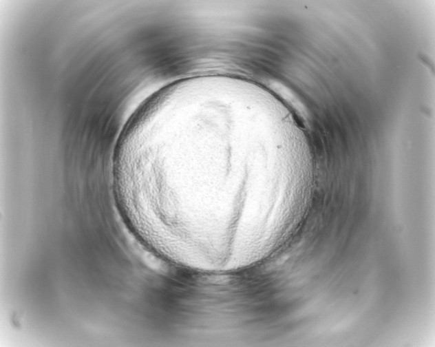 X0000093231431200710241227