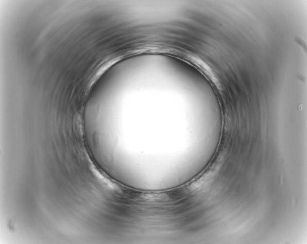 X0000093231433200710241227