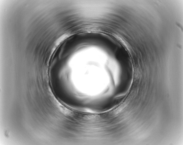 X0000093231434200710241227