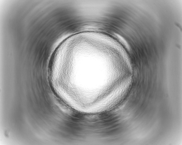 X0000093231435200710241227