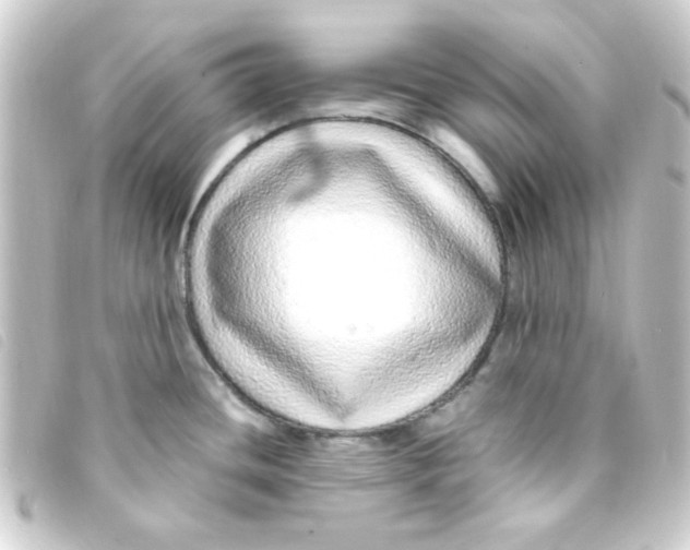 X0000093231436200710241227