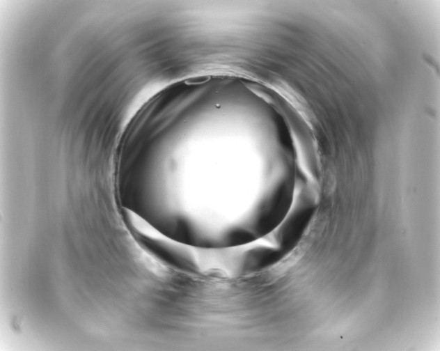 X0000093231438200710241227