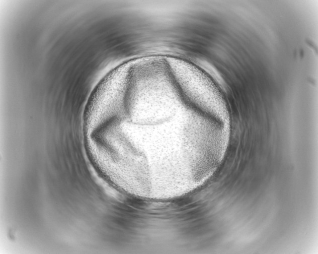 X0000093231439200710241227