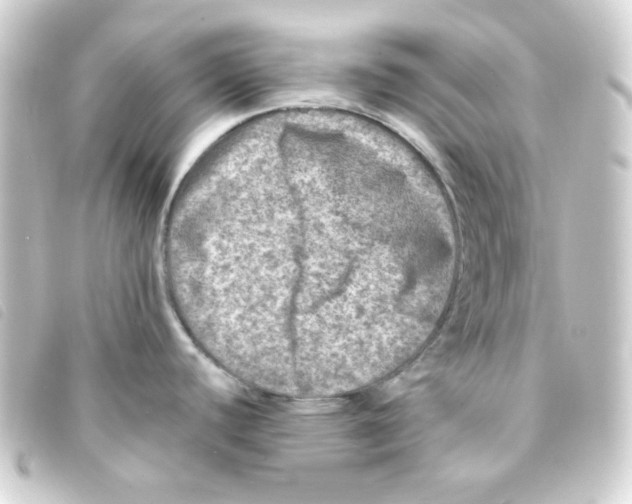 X0000093231440200710241227