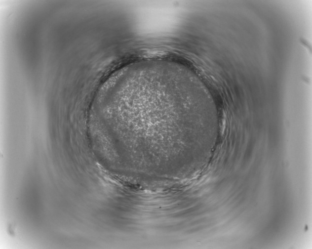 X0000093231441200710241227