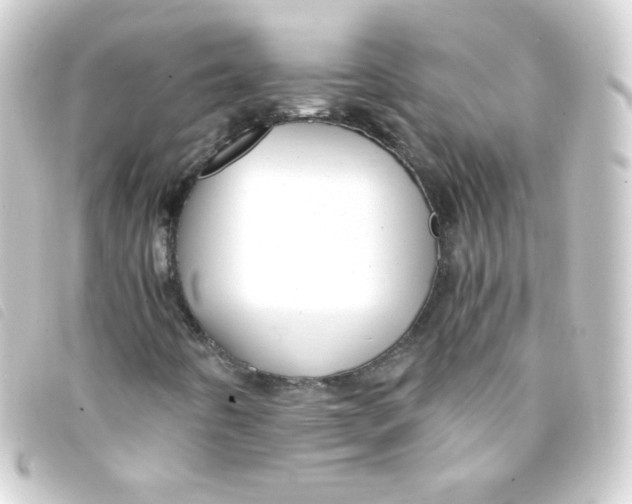 X0000093231442200710241227