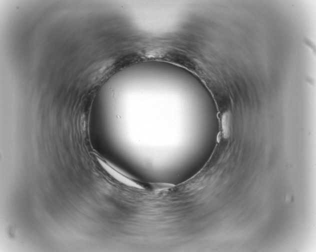 X0000093231443200710241227