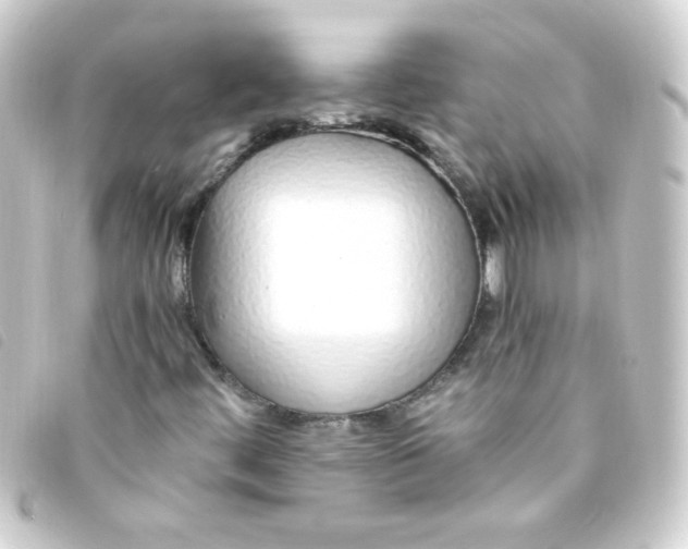 X0000093231444200710241227