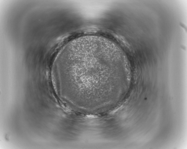 X0000093231445200710241227