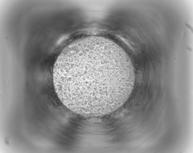 X0000093231446200710241227