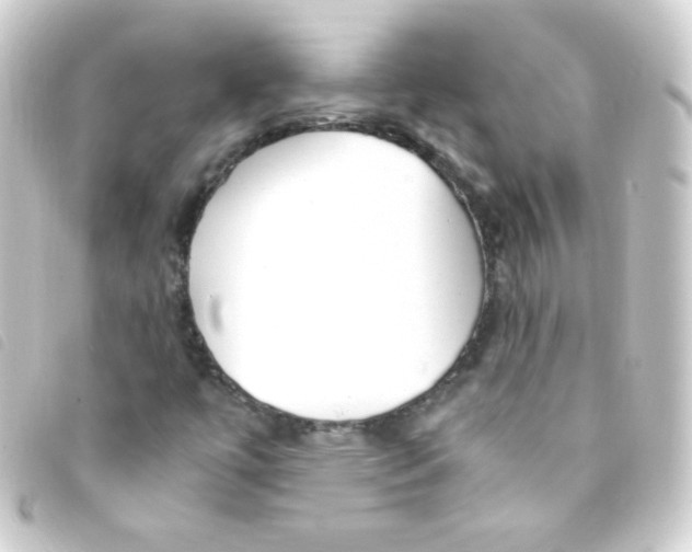 X0000093231447200710241227