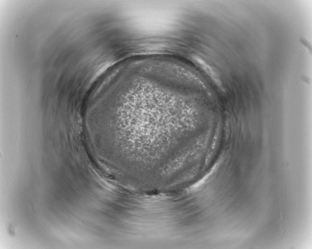 X0000093231449200710241227