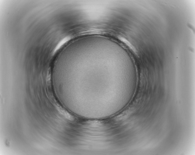 X0000093231450200710241227