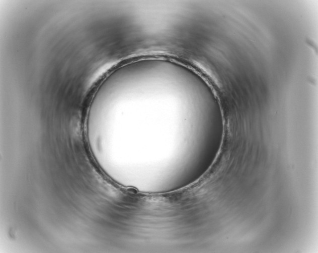 X0000093231452200710241227