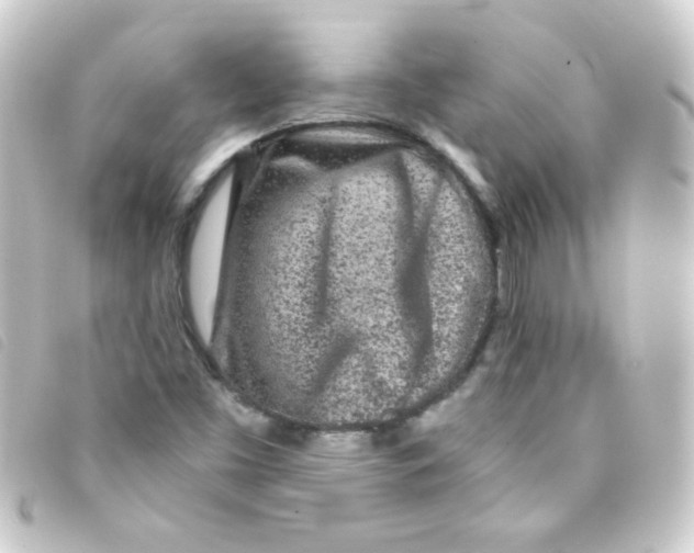 X0000093231453200710241226